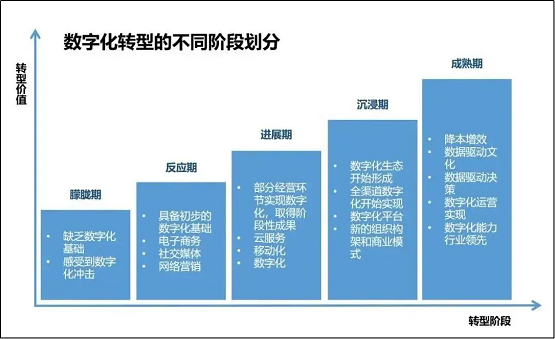 管家婆一肖一码一中，实证解答、解释与落实的策略探讨