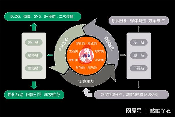 精准四肖中特数据支持，探索与实践