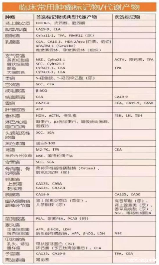 三肖必中三期必出资料最新一期免费资料下载详解