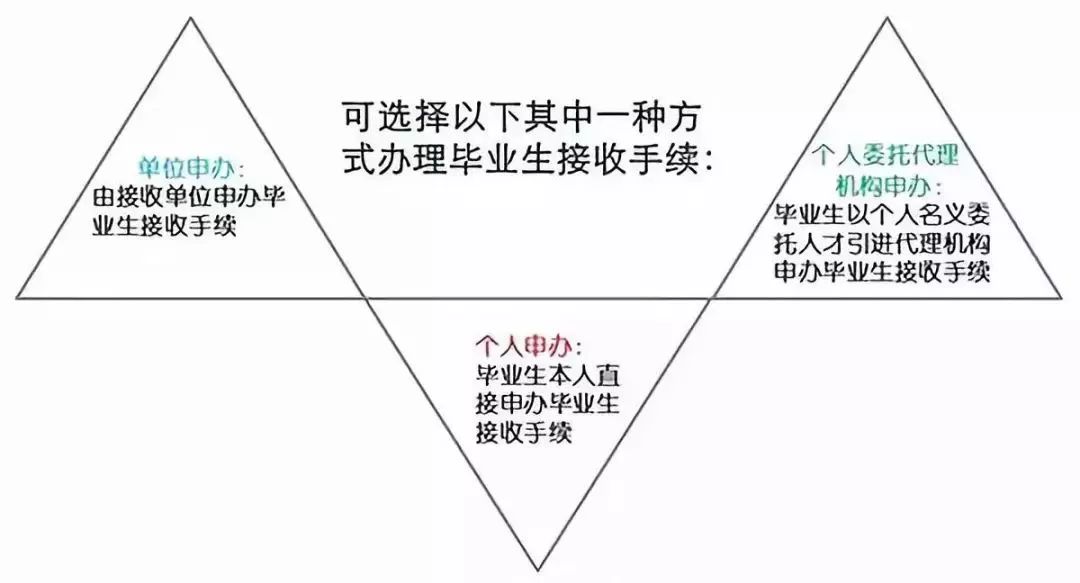 精准四肖详解，77778888的秘密与实际应用