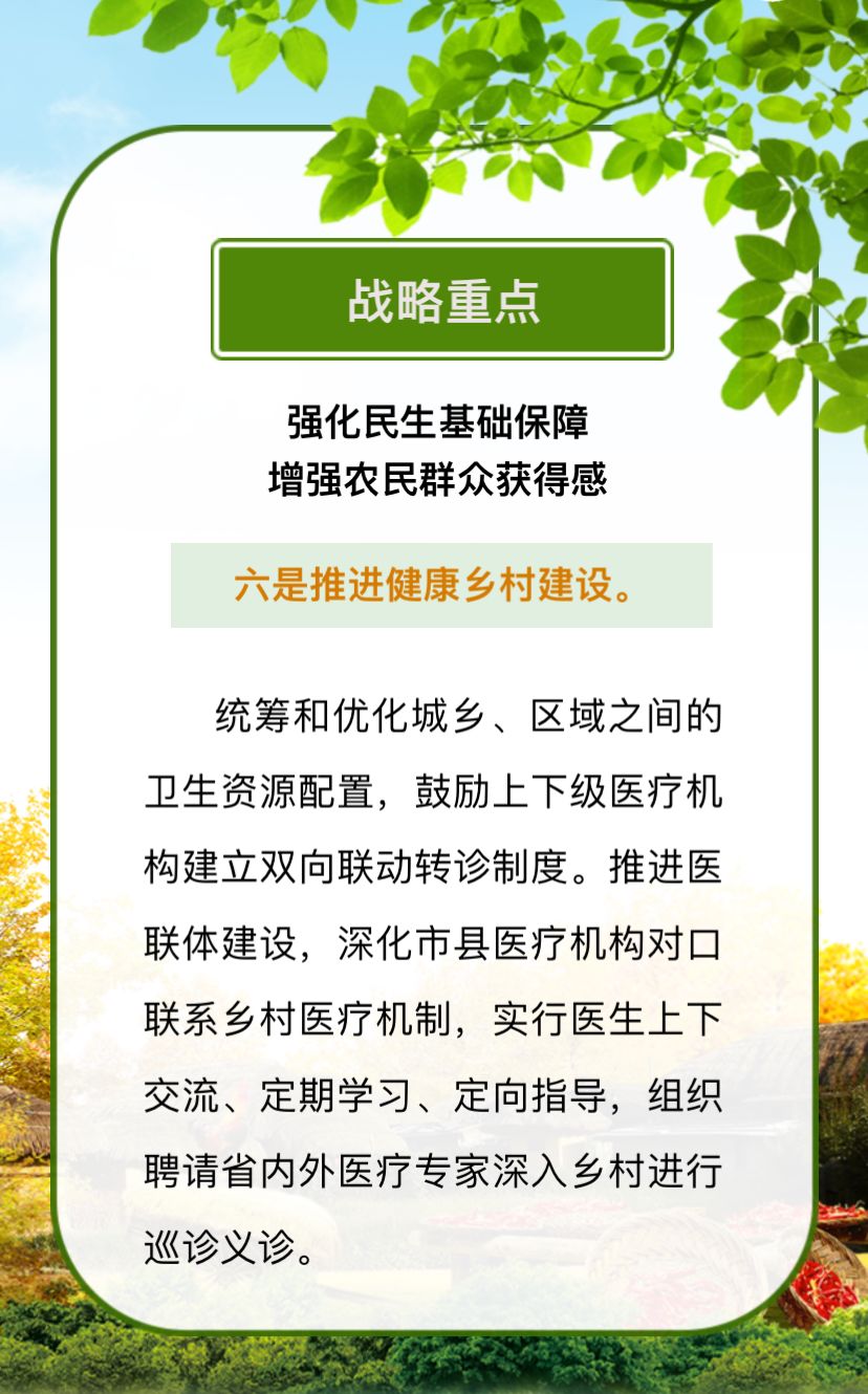 精准四肖，解读与落实策略