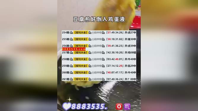 新澳开奖结果概览