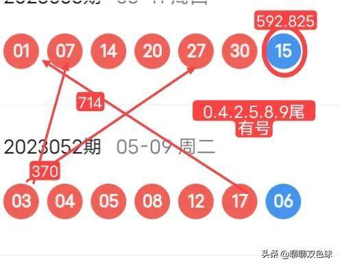 精准四肖预测，专家解答与深入解读