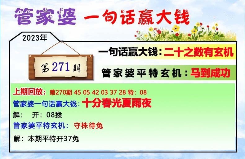 揭秘管家婆一肖一码一中一特最新章节与东哥苏玛丽的神秘故事
