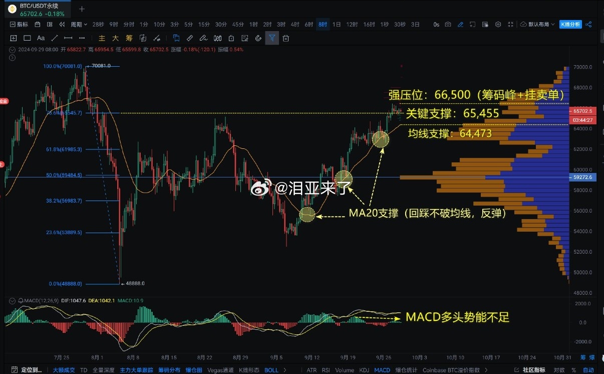 精准四肖中特数据支持，探索77777与88888的神秘关联及其实际应用