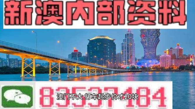 澳门正版资料免费大全新闻第067期，深度解析与探索