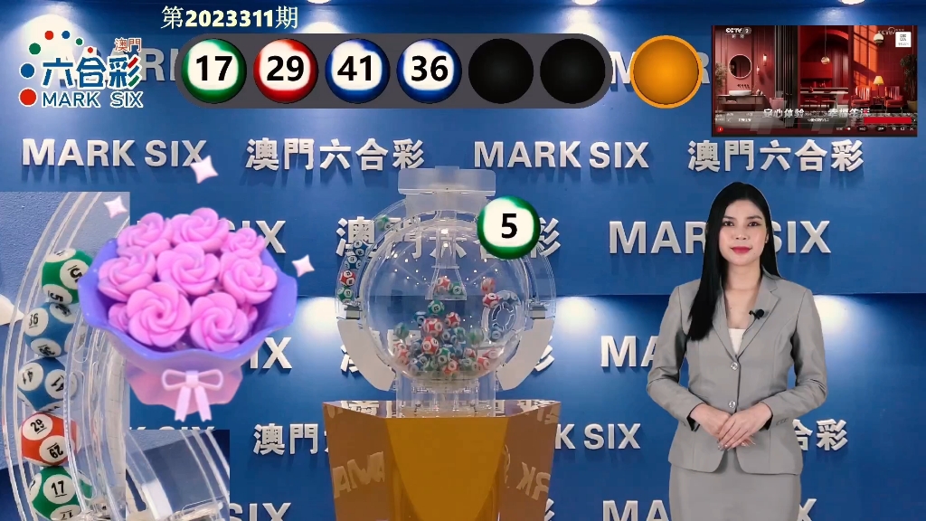 解析香港与澳门天天彩资料，精选解析、解释与落实策略