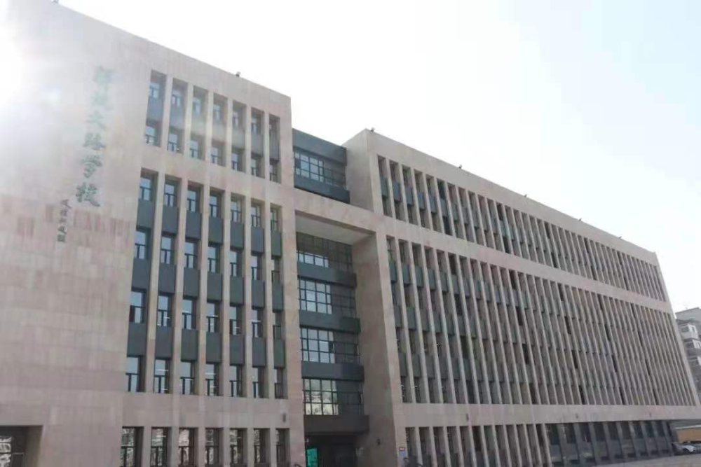 揭秘三肖必中三期必出资料，真相与背后的逻辑