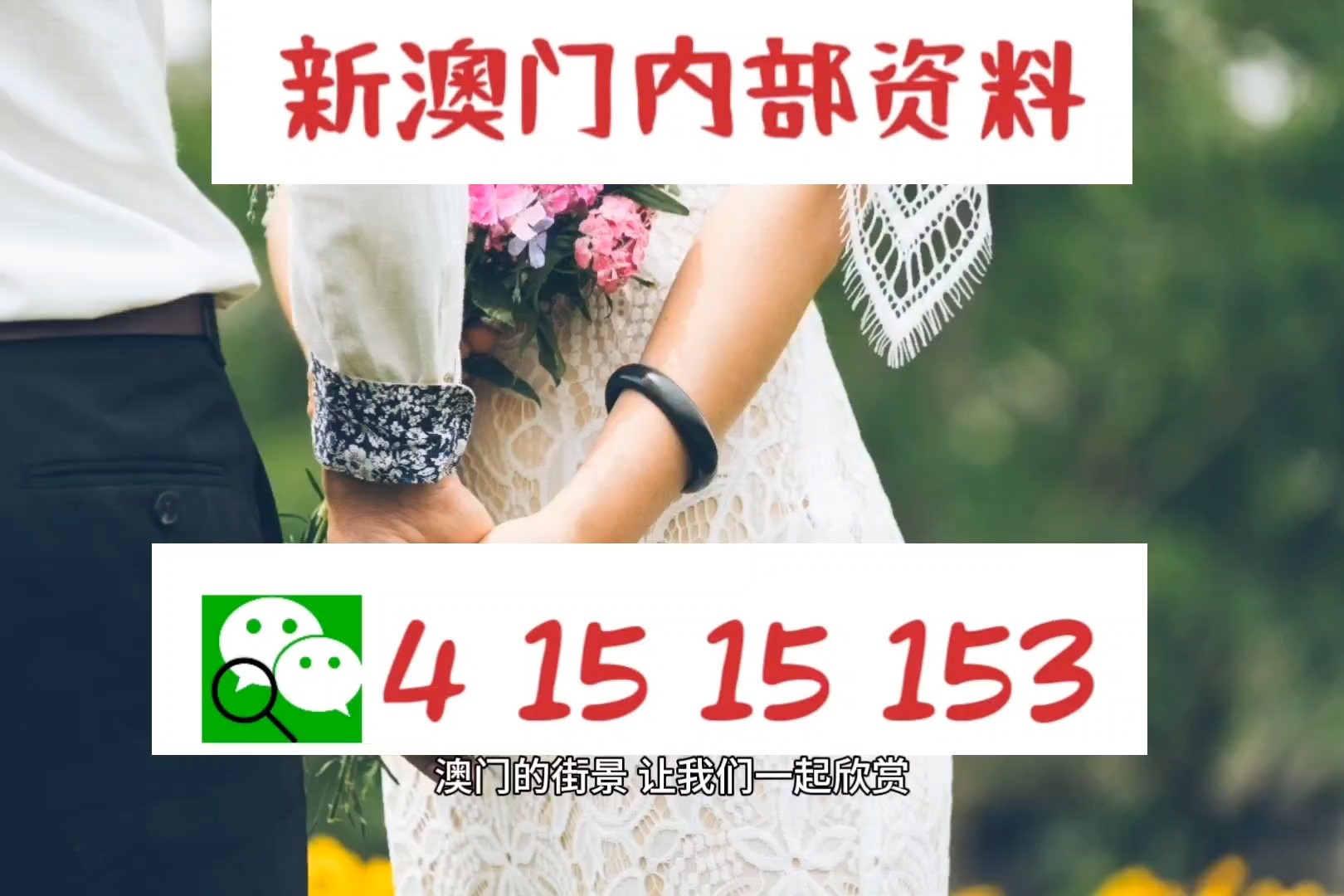 新澳门正版资料2025与精准资料的免费提供综合版探讨