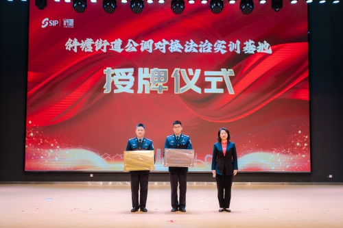 精准四肖中特数据支持，探索与实践之路