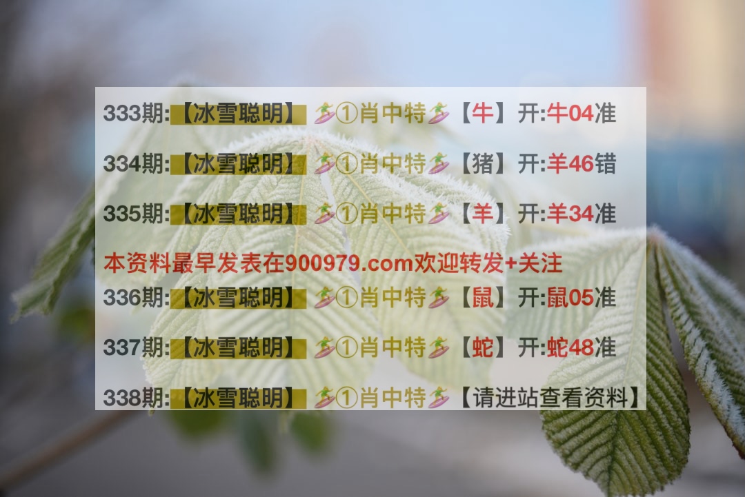 澳门最准最快的免费资料与2025新澳门历史开奖记录探索