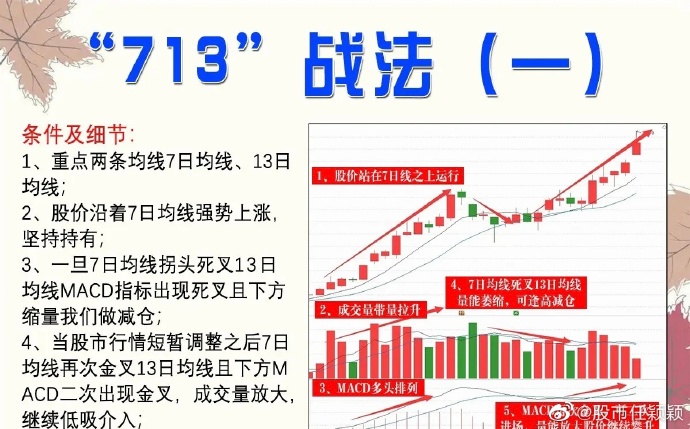 精准四肖中特数据支持，探索77777与88888的神秘关联及其实践应用